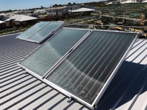 Solar hot water panels mounted on a metal roof in North Lakes, harnessing sunlight for efficient hot water.
